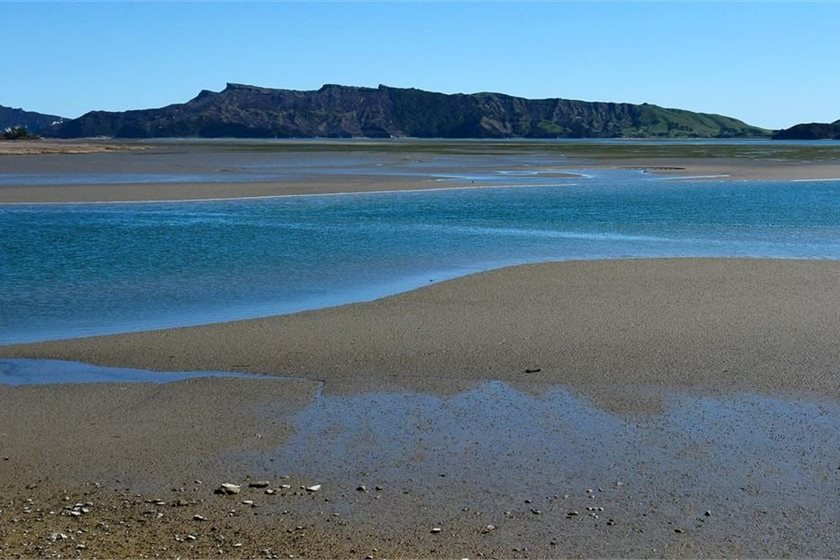 Department of Conservation