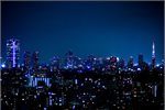 Tokyo .. love the lit-up lifestyle, forget the sacrifice Tokyo .. love the lit-up lifestyle, forget the sacrifice