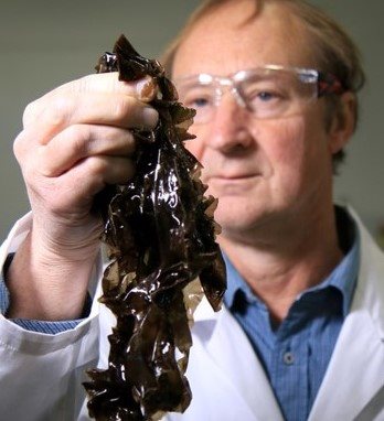 Dr Tom Wheeler and karengo.