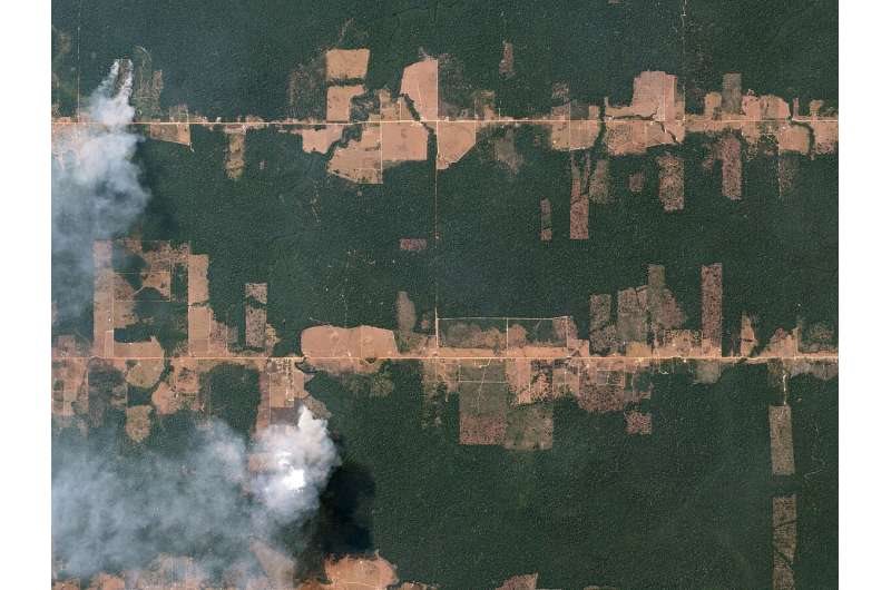 Lands cleared in the Amazon rainforest in preparation for farming and grazing.