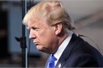 Donald Trump Donald Trump
