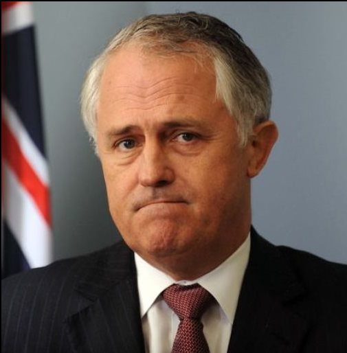 Malcolm Turnbull, as a former investment banker, should be able to feel the prevailing global winds around climate finance. AAP
