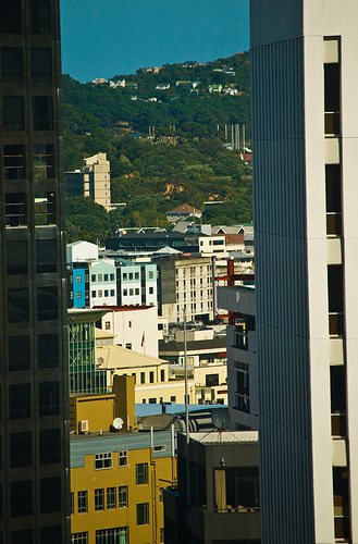 Wellington and its town belts .. worth hundreds of thousands a year in emission credit revenue?