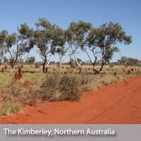 Northern Australia ... getting wetter.