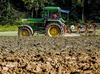 Nature’s own carbon capture and storage. Matthias Ripp